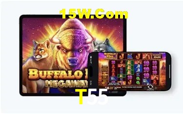 Ofertas Exclusivas T55