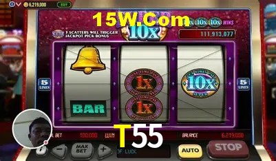 Login Seguro T55