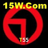 Ofertas Exclusivas T55